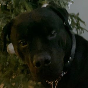 Meet your Posher, Suzette